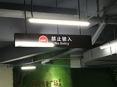 ָͣ